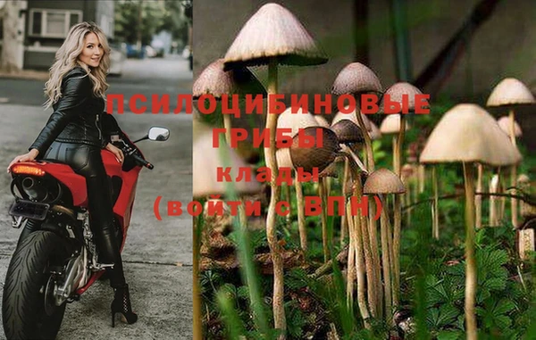 mix Алексин