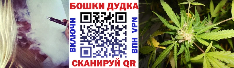 Бошки Шишки Amnesia  Льгов 
